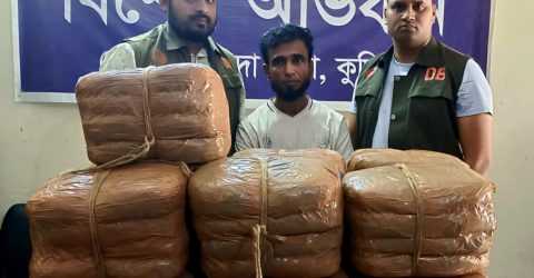 কুমিল্লা ডিবি পুলিশের পৃথক অভিযানে ৫২কেজি গাঁজা ও পিকআপ গাড়ীসহ ০১ জন আটক
