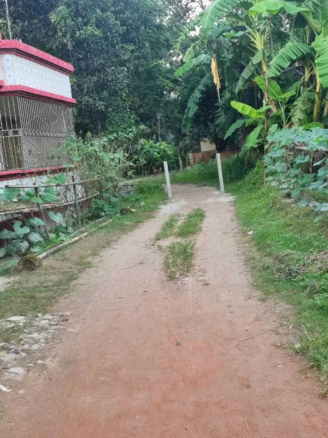 প্রবাসীর বাড়ির রাস্তায় খুঁটি গেড়ে দিল সাবেক আওয়ামী লীগ নেতা