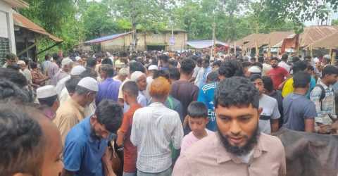 দেবীদ্বারে সড়কে বন্ধ করে পশুর হাট; দূর্ভোগে যাত্রী ও মাল পরিবহন
