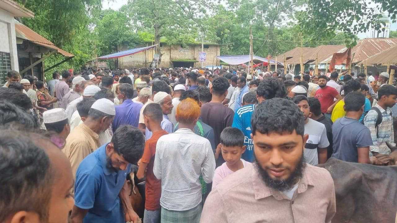 দেবীদ্বারে সড়কে বন্ধ করে পশুর হাট; দূর্ভোগে যাত্রী ও মাল পরিবহন