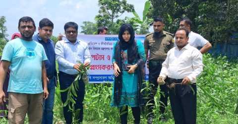 ‎ব্রাহ্মণপাড়ায় নিষিদ্ধ ঘোষিত প্রজাতি ইউক্যালিপটাস ও আকাশমনি চারা ধ্বংসকরণ কর্মসূচির উদ্বোধন