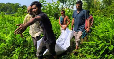 দেবীদ্বার ‎নিখোঁজের ৮ দিনপর জঙ্গল থেকে হনুফার লাশ উদ্ধার